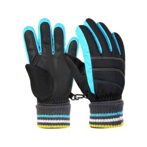 Winter Gloves